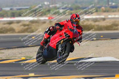 media/Oct-05-2024-Race Pace (Sat) [[aa7b44e117]]/2-Turn 11 (815am)/